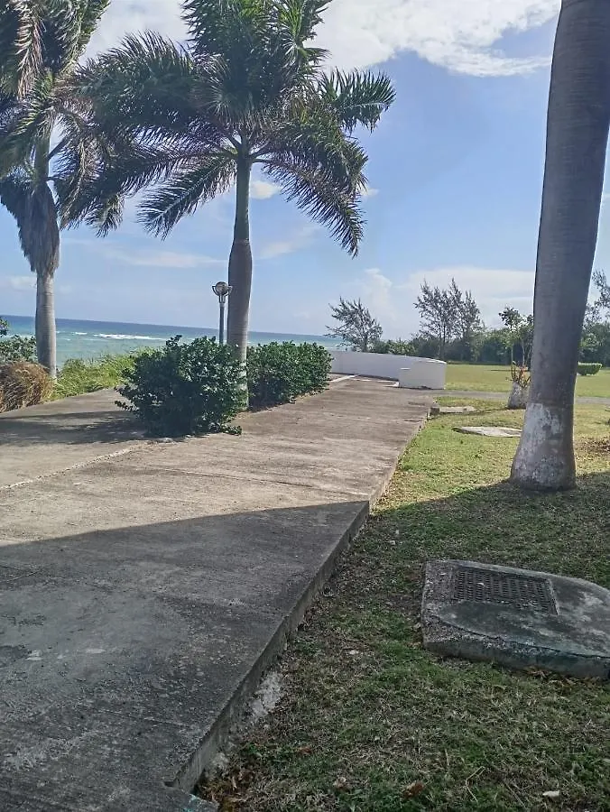 Seacastles Lägenhet Montego Bay